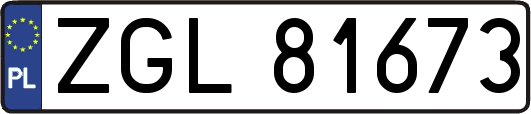 ZGL81673