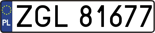 ZGL81677