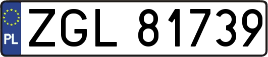 ZGL81739