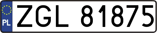 ZGL81875