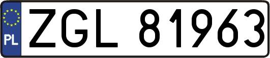 ZGL81963