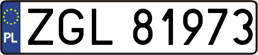 ZGL81973