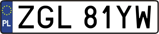 ZGL81YW