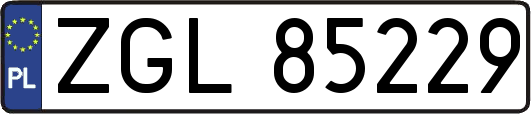 ZGL85229