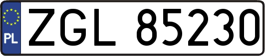 ZGL85230