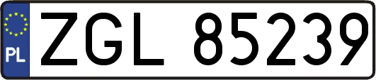 ZGL85239