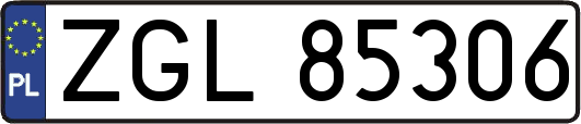 ZGL85306