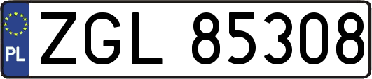 ZGL85308