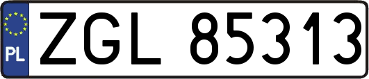 ZGL85313