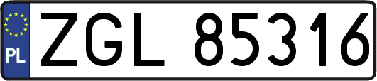ZGL85316