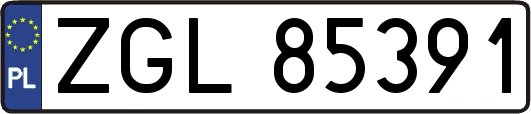 ZGL85391
