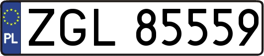 ZGL85559
