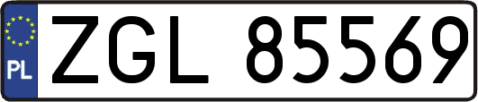 ZGL85569