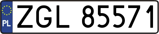 ZGL85571