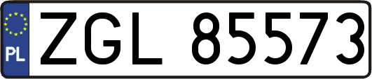ZGL85573