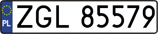 ZGL85579