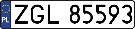 ZGL85593