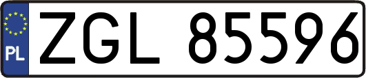 ZGL85596
