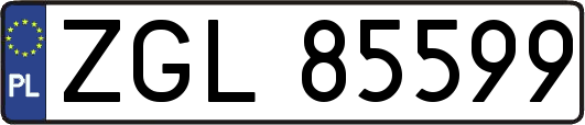 ZGL85599