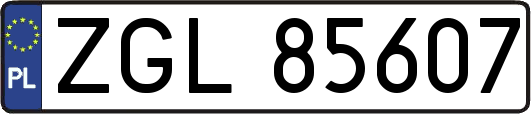 ZGL85607