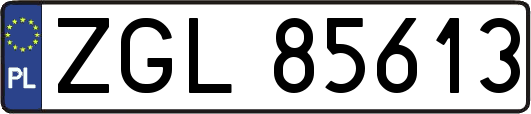 ZGL85613