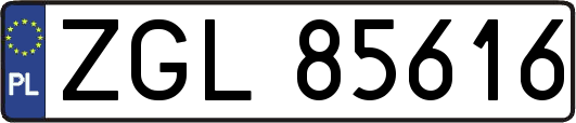 ZGL85616