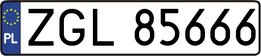ZGL85666