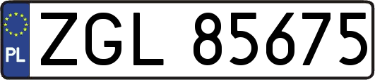 ZGL85675