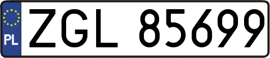ZGL85699