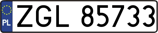 ZGL85733