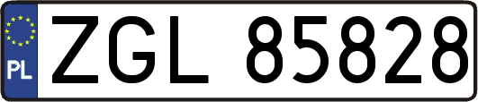 ZGL85828