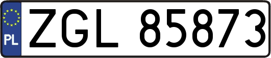 ZGL85873