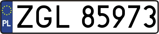 ZGL85973