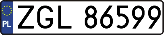 ZGL86599