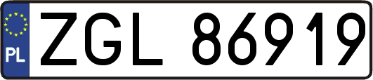 ZGL86919