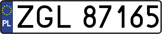 ZGL87165