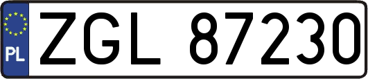 ZGL87230