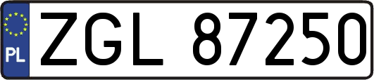 ZGL87250