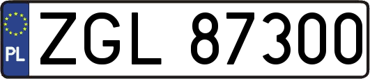 ZGL87300