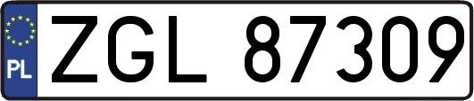 ZGL87309