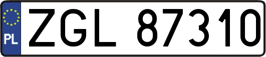 ZGL87310