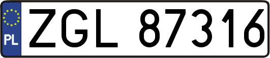 ZGL87316