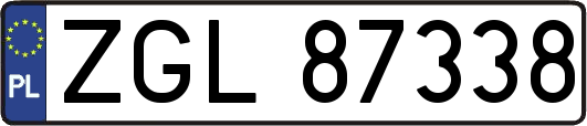 ZGL87338