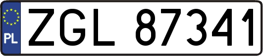 ZGL87341