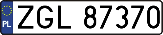 ZGL87370