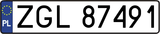 ZGL87491