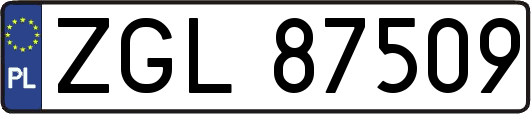 ZGL87509