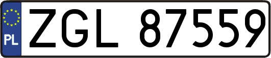 ZGL87559