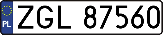 ZGL87560