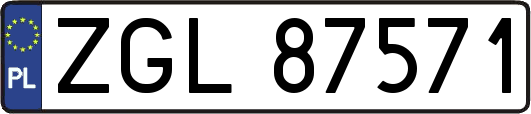 ZGL87571